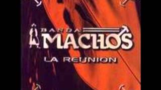 Watch Banda Machos Muriendo De Amor video