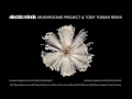 Mushrooms Project - 
