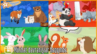 4 Cizgi Film Bir Arada - Lovğa Tülkü, Lovğa Kərgədan, Tənbəl Dovşan, Xeyirxah Kirpi -