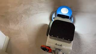 Oxy-Dry Cleaning Oil Stains From Off White Triexta Carpet