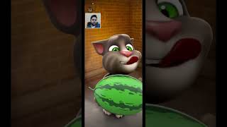 Toms Tongue Got Stuck To The Ice Cream Funny Cat Reaction