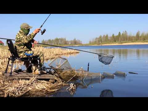 ловля крупного линя весной видео ловля крупного линя весной видео