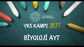 2023 Yks Kampı Biyoloji-6 Ayt Dolaşım Sistemleri