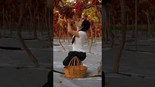 Have You Enjoyed Fruits Like That