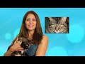 Ep 13 - Cat Care: How To Introduce Cats To Each Other