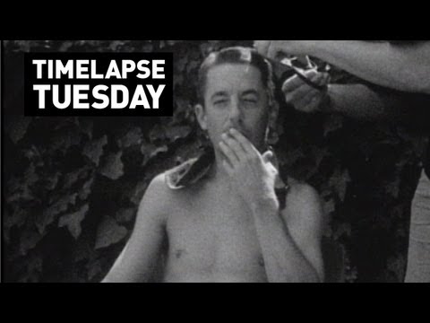 Timelapse Tuesdays: SHAKUS IN OZ