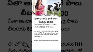 Nita Ambani Drinks A2 Milk Worth 2000 Per Litre Unbelievable Luxury Lifestyle