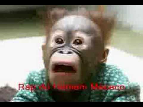 Rap do Homem Macaco