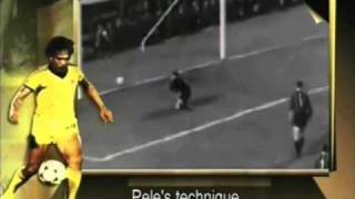 Fuvrir6FjW0 Video Image