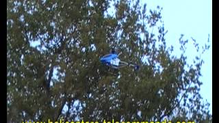 Hélicoptère Rc Radiocommandé G.t. Model 9011