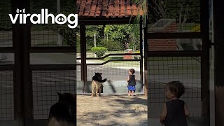 Boy Barks With His Canine Companion || Viralhog