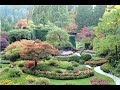 Beautiful Flower Garden Video