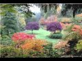 Beautiful Flower Garden Video