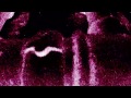 Circulation Video preview