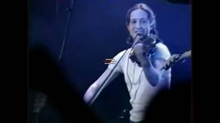 Les Naufragés - Concert