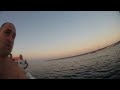 Dolphins at Delimara, Malta - Summer 2012