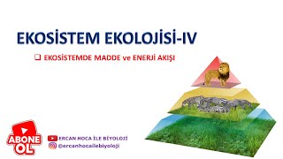 19 Ekosi̇stemde Madde Ve Enerji̇ Akişi Ercan Hoca İle Biyoloji