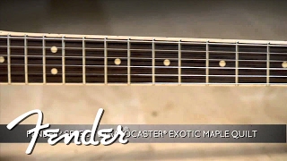 New Fender Select Models For 2014 Fender