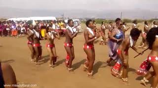 Reed Dance Festival The Africa Soul Is Here