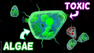 Thrive - Spore, But More? Becoming Toxic Algae Full Playthrough Gameplay