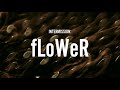 Intermission:Flower Video preview