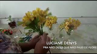 Pra não dizer que não falei de flores - Luciane Denys