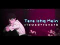 Tere Ishq Mein [slowed + reverb] - Aditya Yadav | slow diary