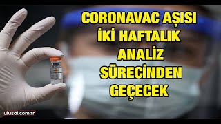 Türkiye'ye getirilen 6,5 milyon doz CoronaVac aşısı iki haftalık analiz sürecind