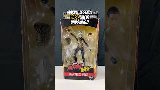 Look What I Found Marvels Wasp