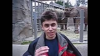 Top 5 oldest videos that are uploaded on YouTube