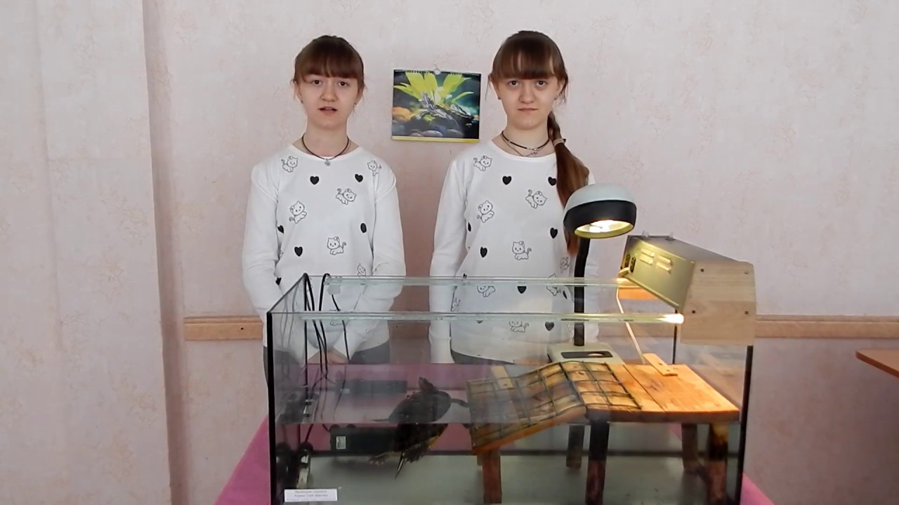 Манометры как это сделано Манометры как это сделано