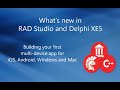 RAD Studio XE5 - Building your first multi-device app for Android, iOS, Windows and OS X