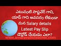 How to download ap employees and teachers salary details and Latest pay slip