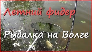 Рыбалка, кофеёк и странное поведение карася