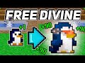 ULTIMATE Guide to a Free Divine Pet! [RotMG 2024]