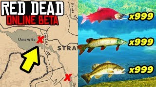 *SECRET* UNLIMITED FISH GLITCH LOCATIONS TO MAKE FAST MONEY in Red Dead Online! Easy Money Tips RDR2