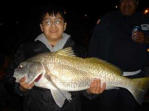 Deep  Fishing Corpus Christi on Corpus Christi   Padre Island   Port Aransas Fishing   Homes