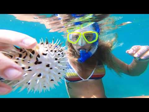 The World is Yours to Explore, Do It with Hurricane Reef