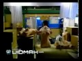 image Bayangtv Astaga Kaum Pria Jepang Bisa Menjalin Cinta Dengan Boneka