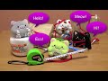 Candy Sushi Giveaway Winners!