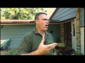 Fall Gardening - Put The Garden To Bed Fall Gardening - Put The Garden To Bed