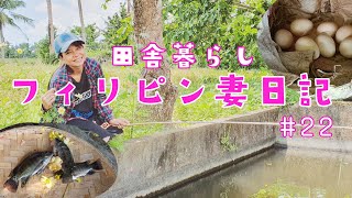 フィリピン妻と移住した田舎で自給自足を9割程達成したつもりの動画です#22