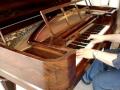 chickering piano