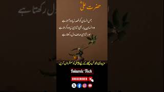 Teaching Of Hazrat Ali Ra About Love And Anger