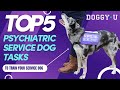 Top 5 Psychiatric Service Dog Tasks!