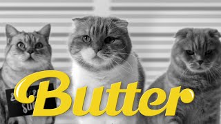 BTS( 방탄소년단) 'Butter' MV  Cover by Cats