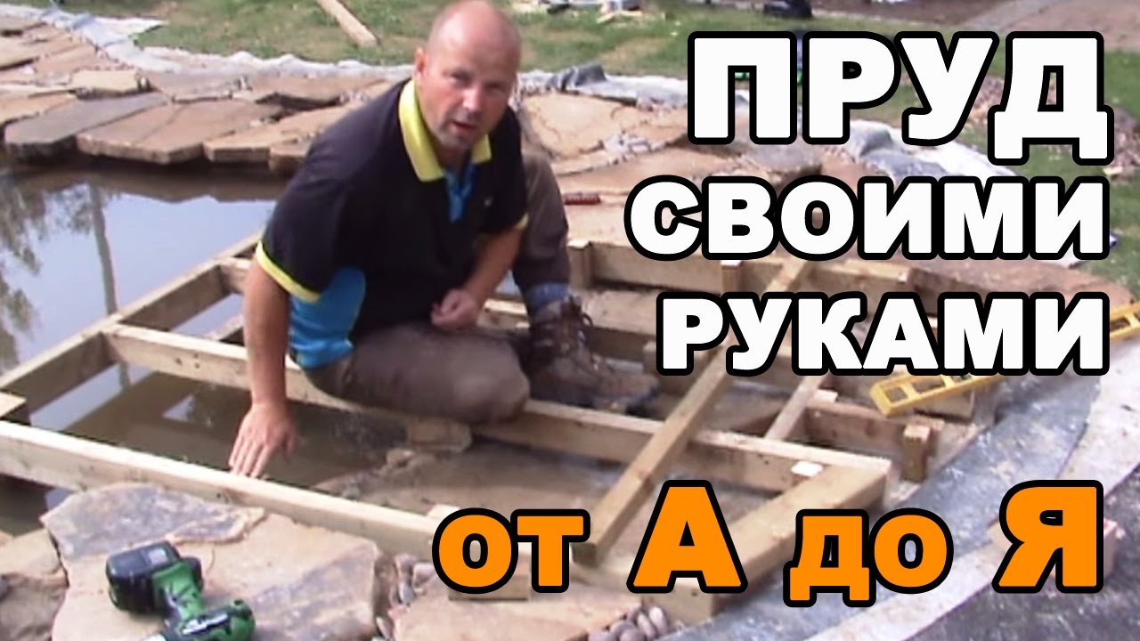 инструкция по разведению карпов