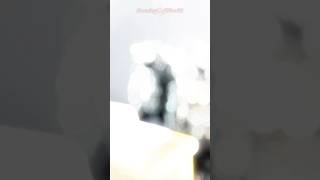 I Meanhe Asked What It Was.