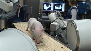 Xromm Data Collection With C-Arm Fluoroscopes