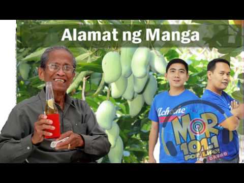 alamat ng mangga alamat ng mangga